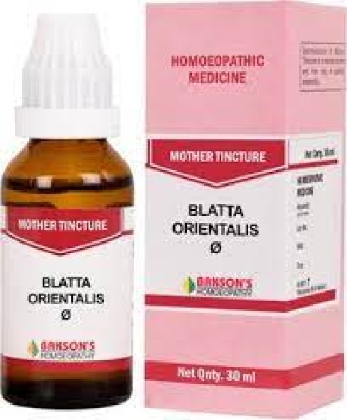 Blatta Orientalis